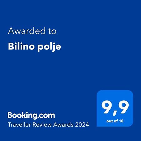 Apartament Bilino Polje Zenica Zewnętrze zdjęcie